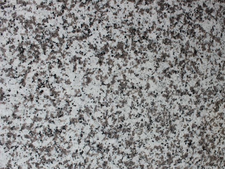White Flower Blanco Delta Granite Slab